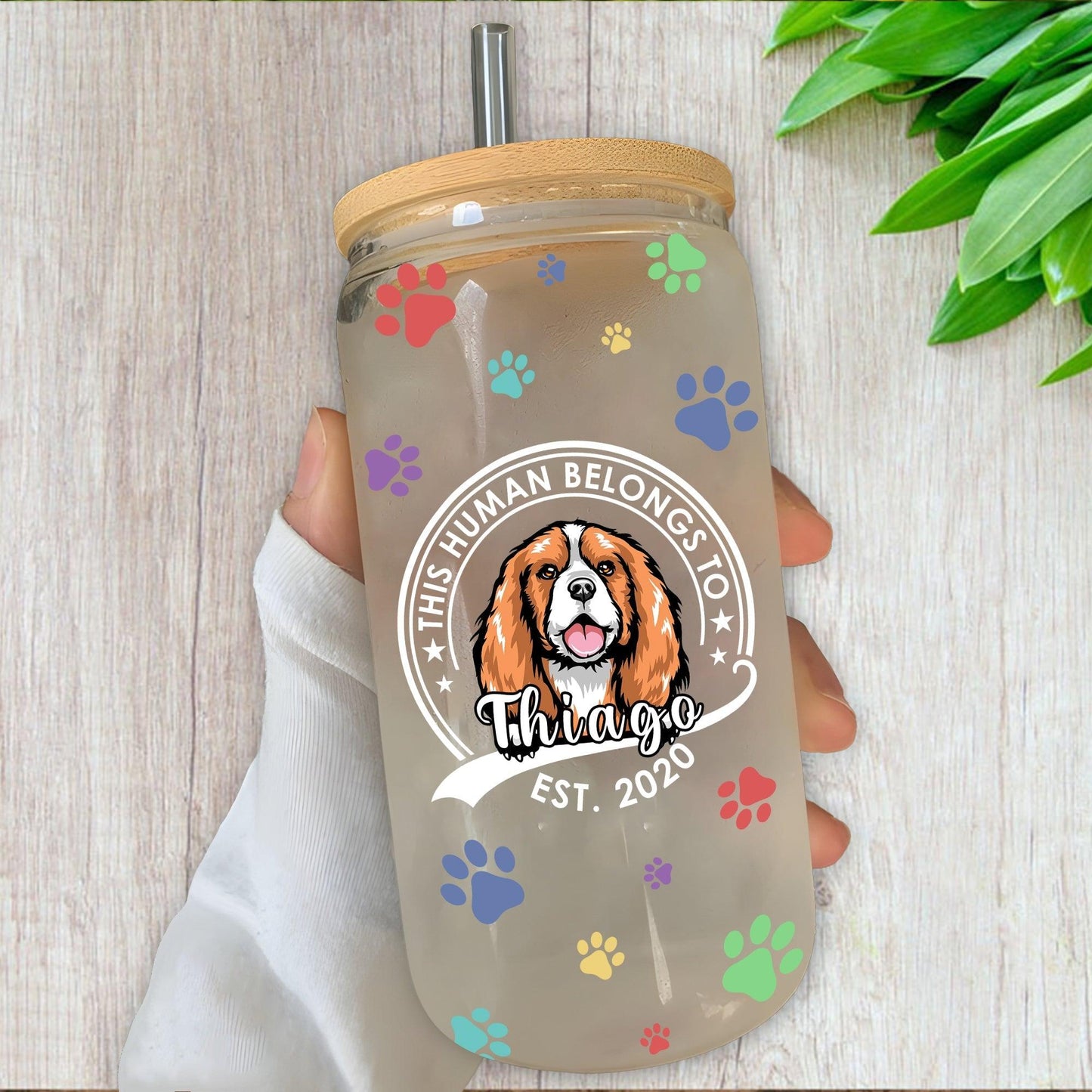This Human Belongs to Dog/Cat" Frosted Bottle with Lid & Straw