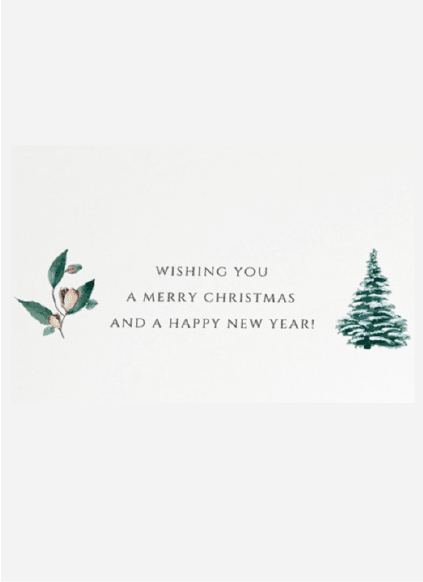 Non-custom Foldable Christmas Cards, Fun Designs, Blank for Messages