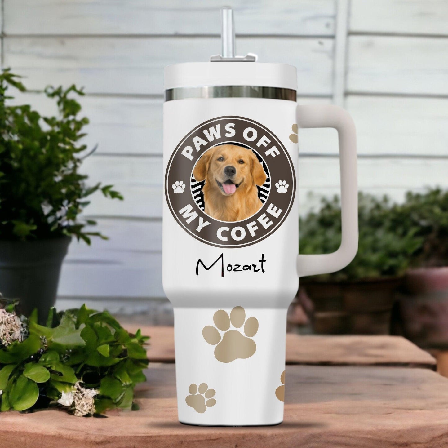 This Human Belong To Paw - Personalized Custom Tumbler For Him/Her