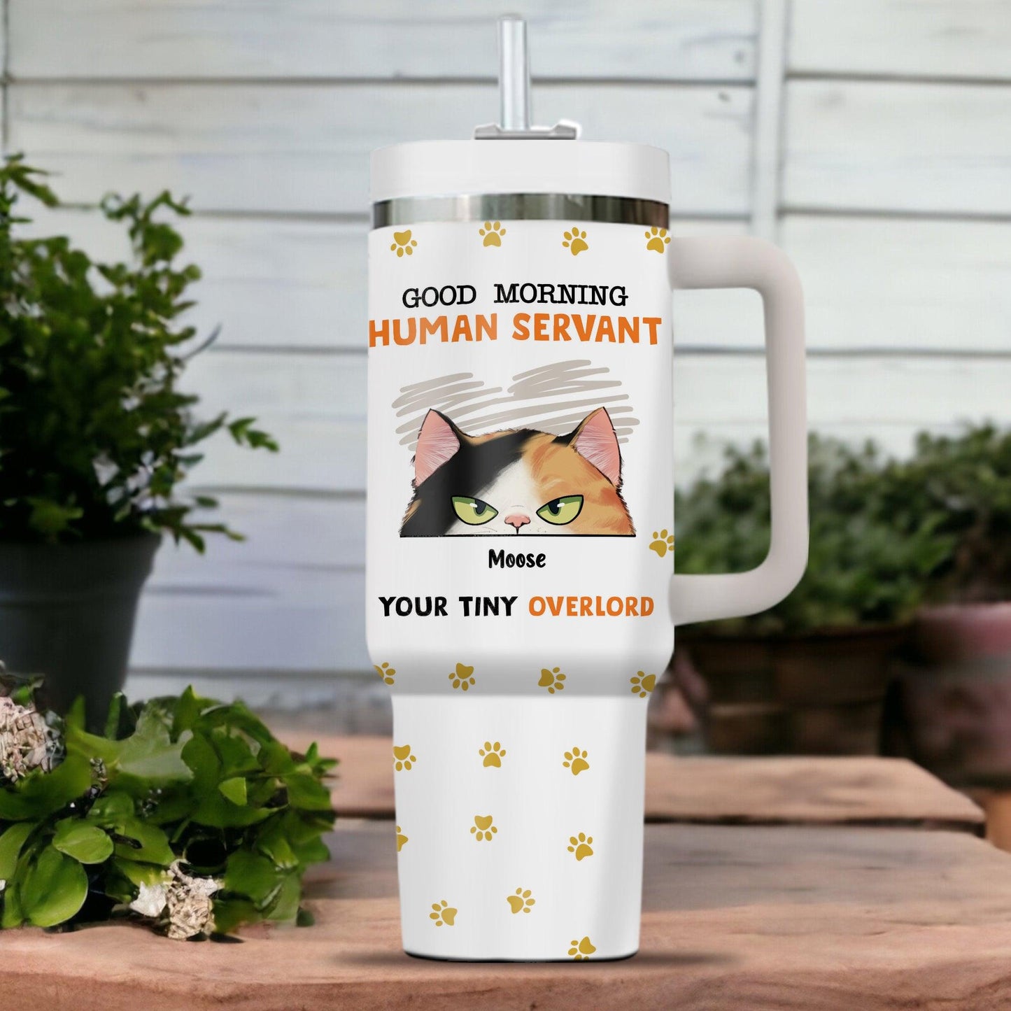 Personalized Cat Lover Tumbler - Good Morning Human Servant Gift