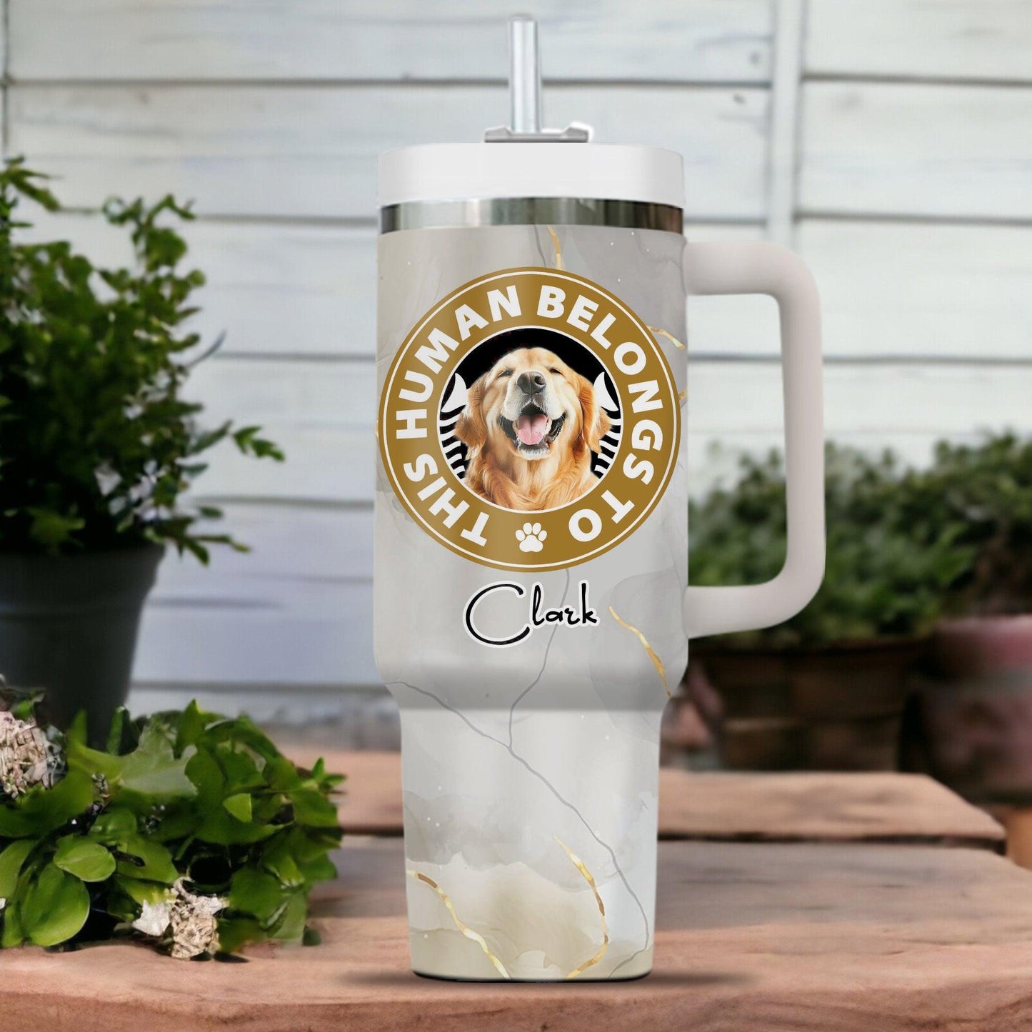 This Human Belong To Paw - Personalized Custom Tumbler For Him/Her