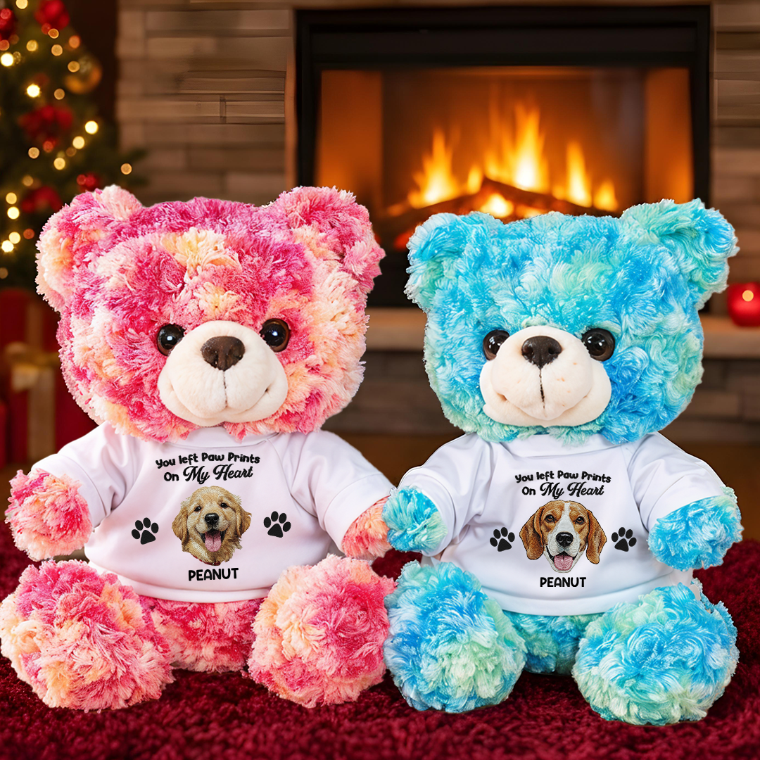 Custom Pet Loss Embroidery Name - Teddy Bear With Personalized Photo Shirt