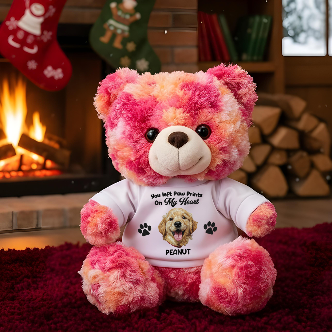 Custom Pet Loss Embroidery Name - Teddy Bear With Personalized Photo Shirt