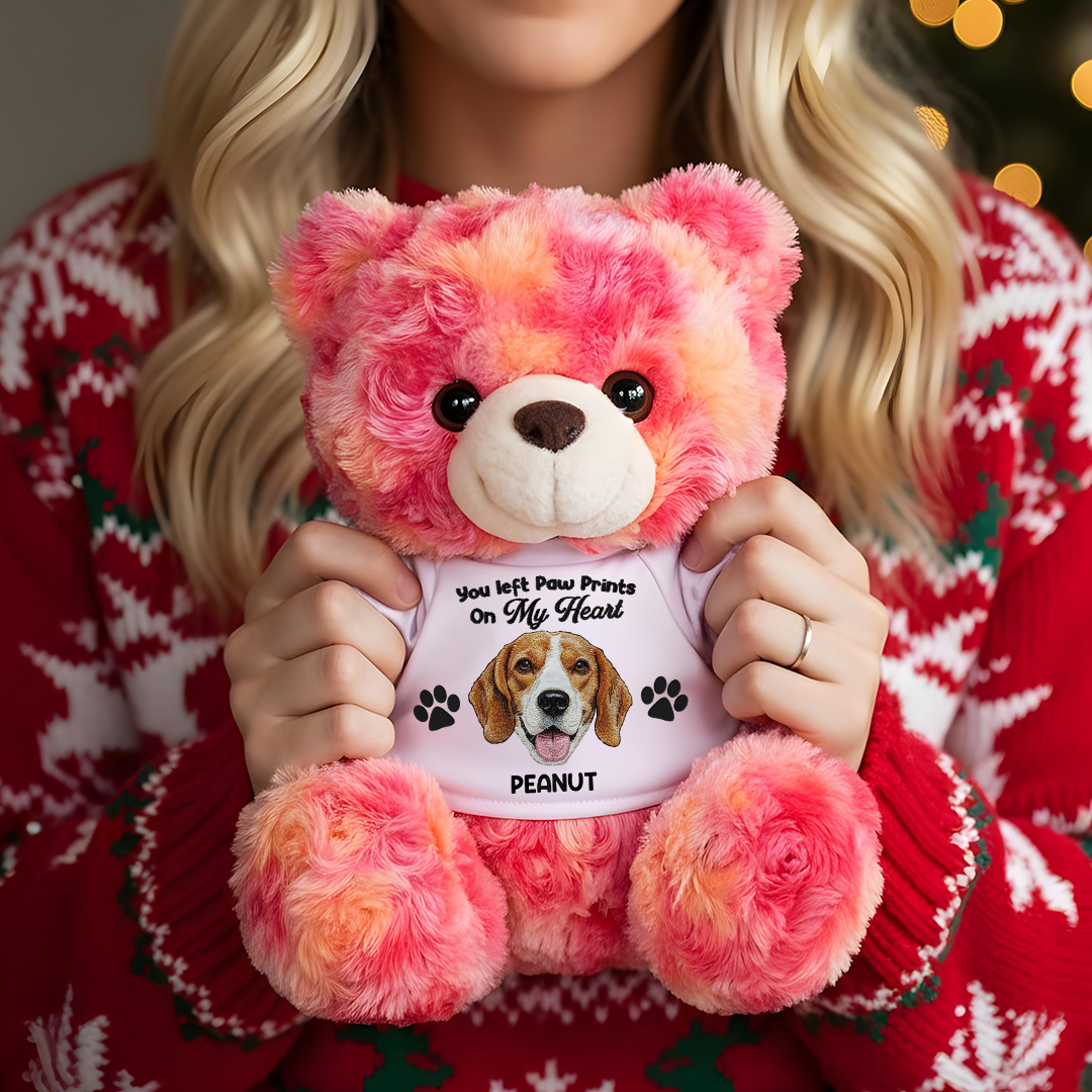 Custom Pet Loss Embroidery Name - Teddy Bear With Personalized Photo Shirt