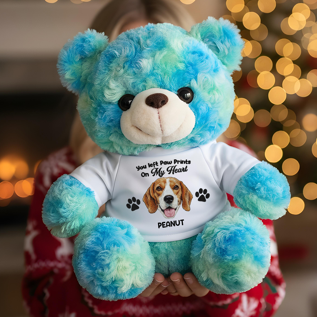 Custom Pet Loss Embroidery Name - Teddy Bear With Personalized Photo Shirt