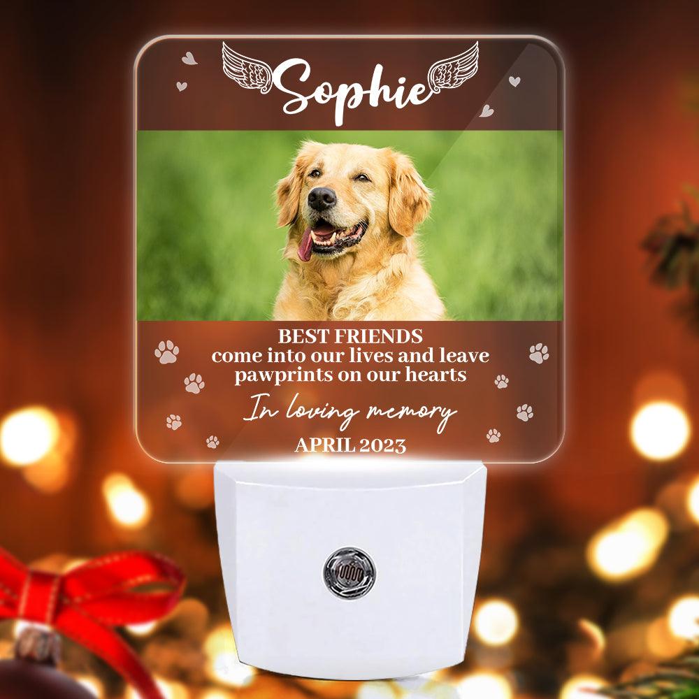 In Loving Memory Angel Pet Light - Custom Led Night Lights