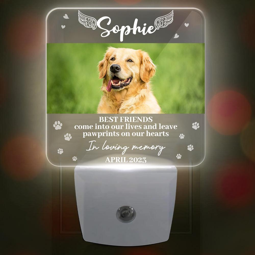 In Loving Memory Angel Pet Light - Custom Led Night Lights