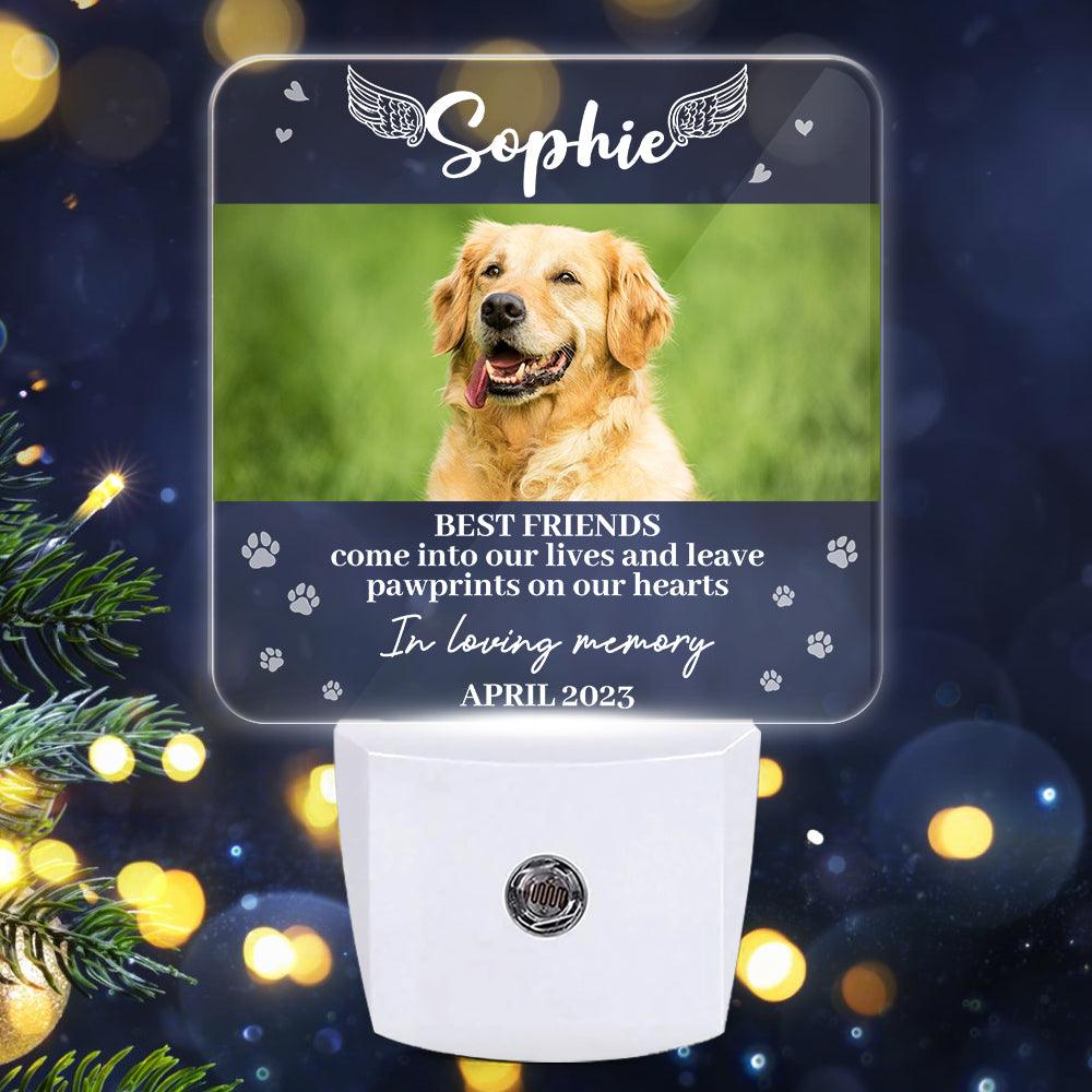 In Loving Memory Angel Pet Light - Custom Led Night Lights