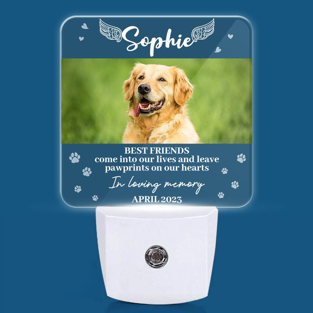 In Loving Memory Angel Pet Light - Custom Led Night Lights