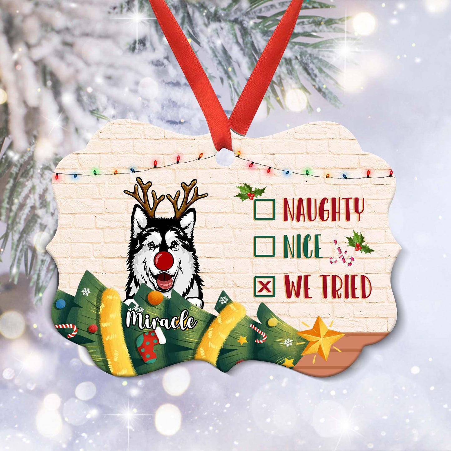Personalized Pet Ornament - I've Been A Very Good Cat/Dog Gift
