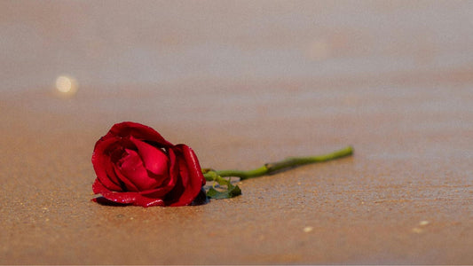 Lost quotes about love: Timeless quotations when love is lost