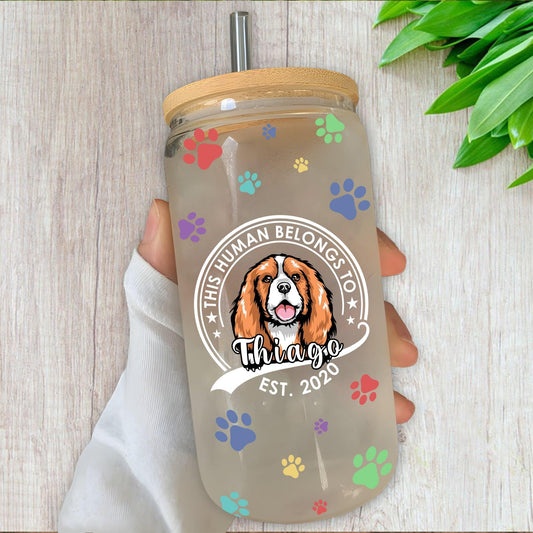 This Human Belongs to Dog/Cat" Frosted Bottle with Lid & Straw