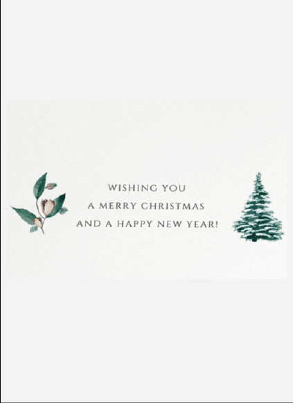 Non-custom Foldable Christmas Cards, Fun Designs, Blank for Messages