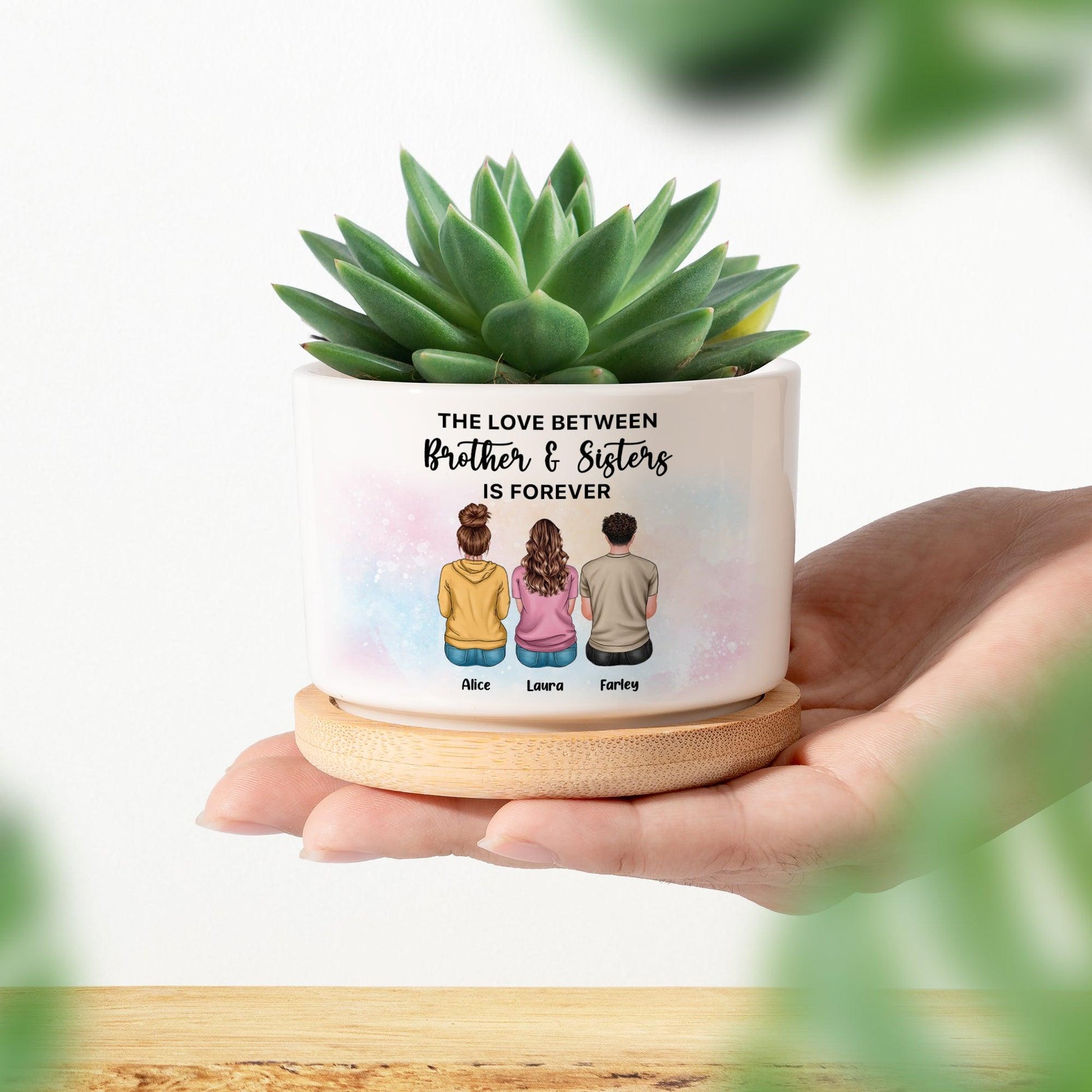 personalized succulent planter Brothers And Sister Plan Pot