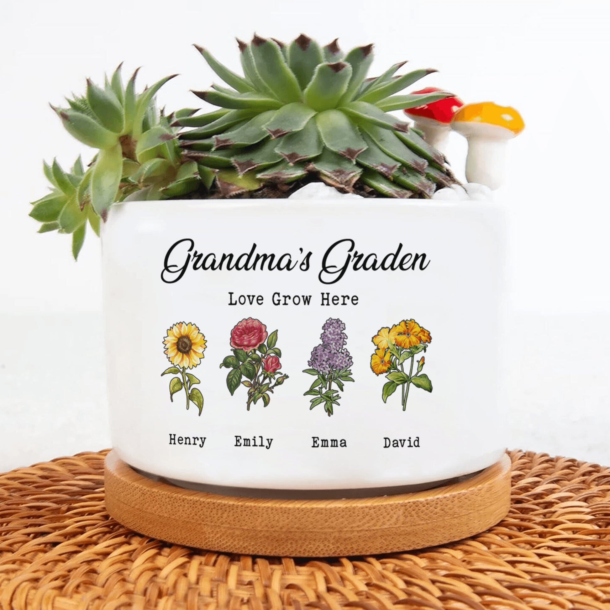 engraved birth flower plant pot Plant Pot - Birth Month Flowers Pot