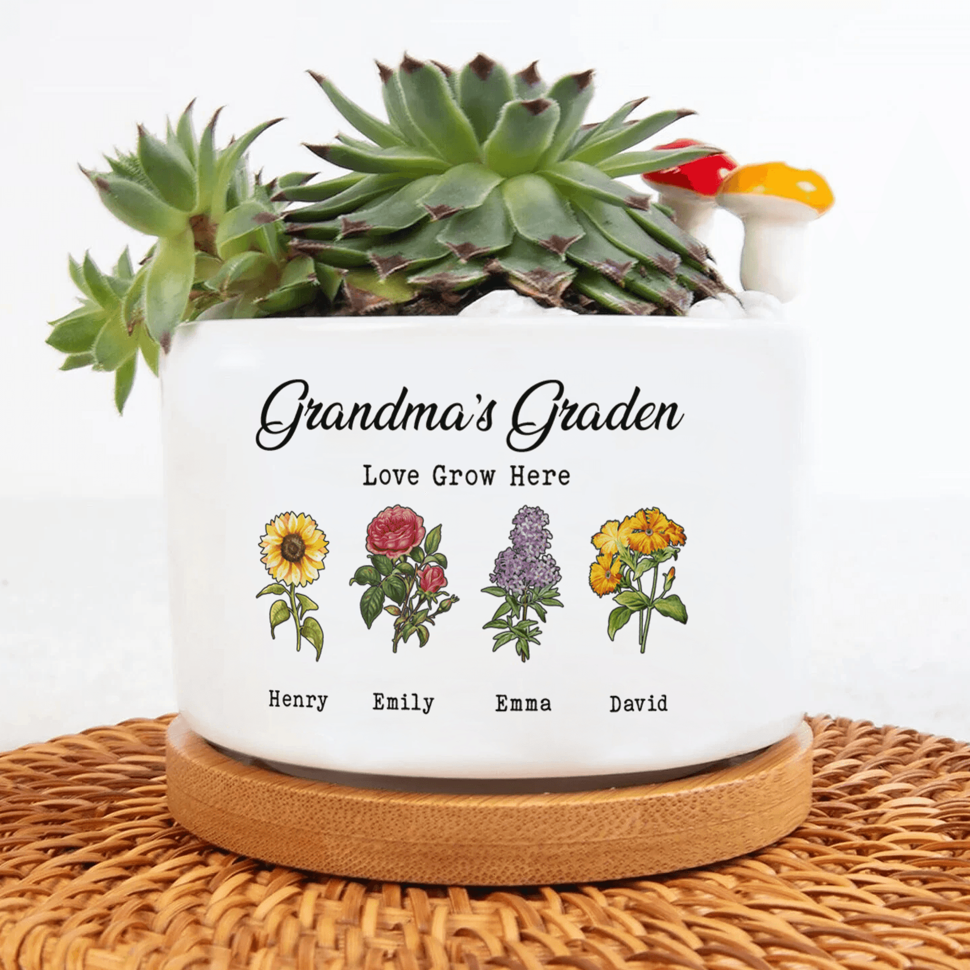 Plant Pot - Birth Month Flowers Pot - Gifts For Mom And Grandma