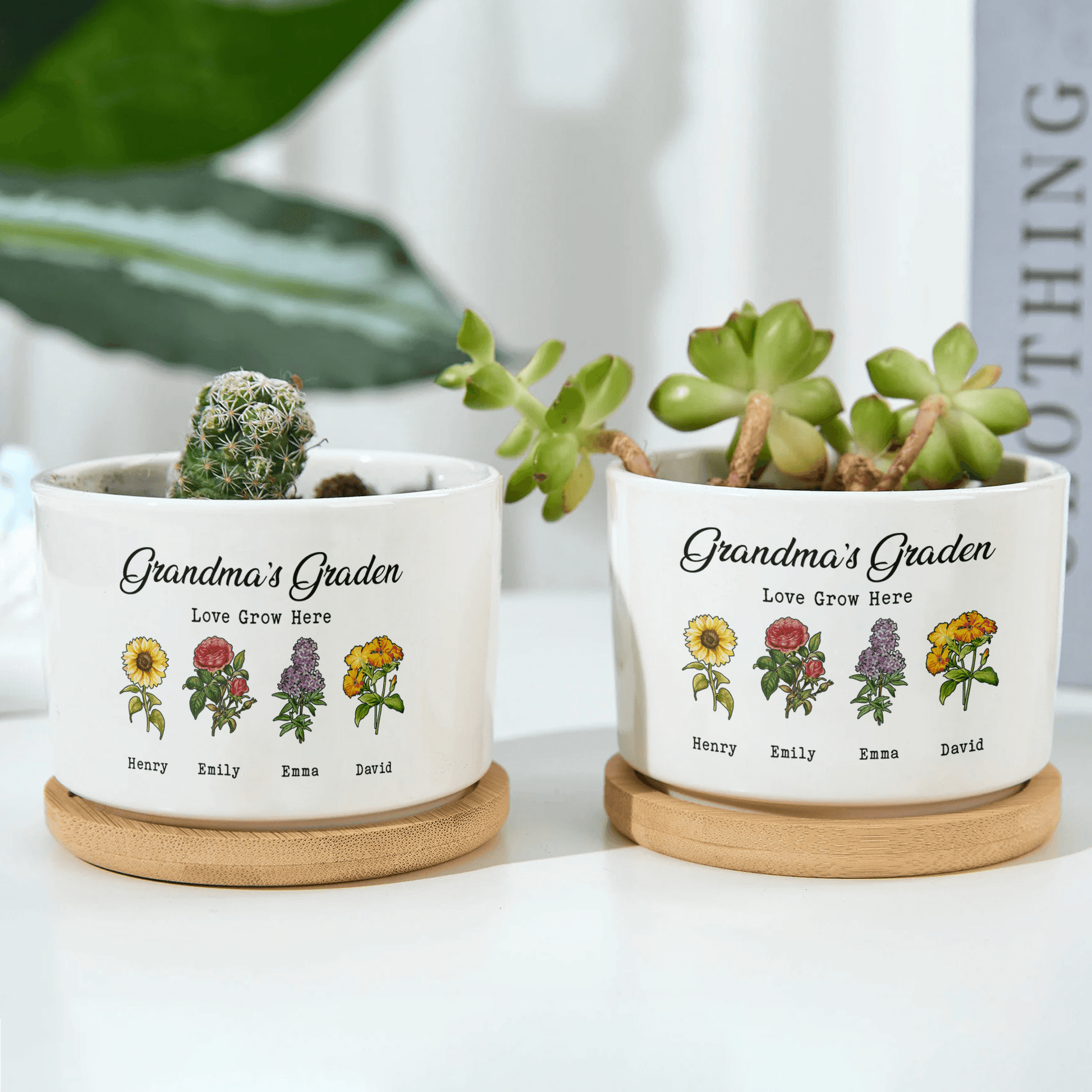 Plant Pot - Birth Month Flowers Pot - Gifts For Mom And Grandma