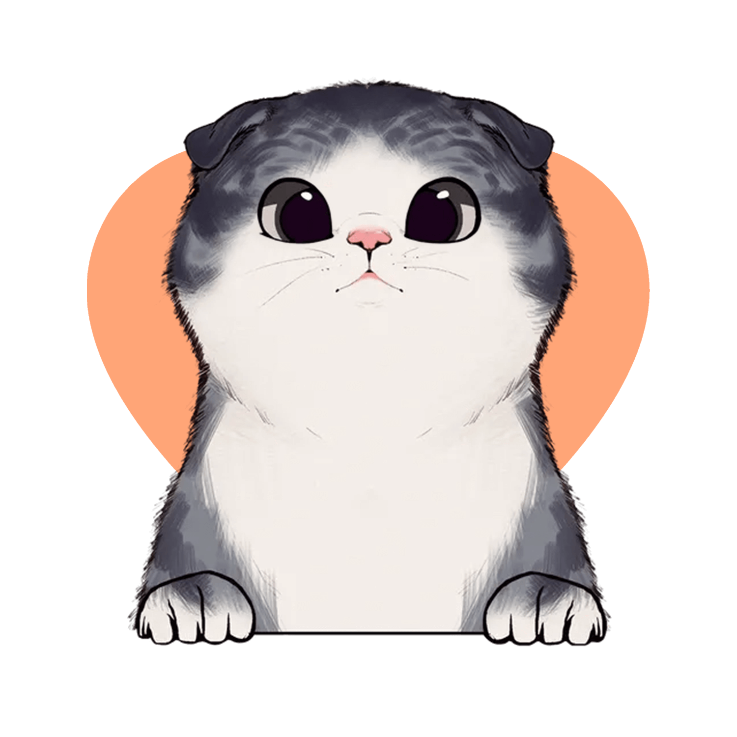 EvridWear Custom Create your own unique style with us.