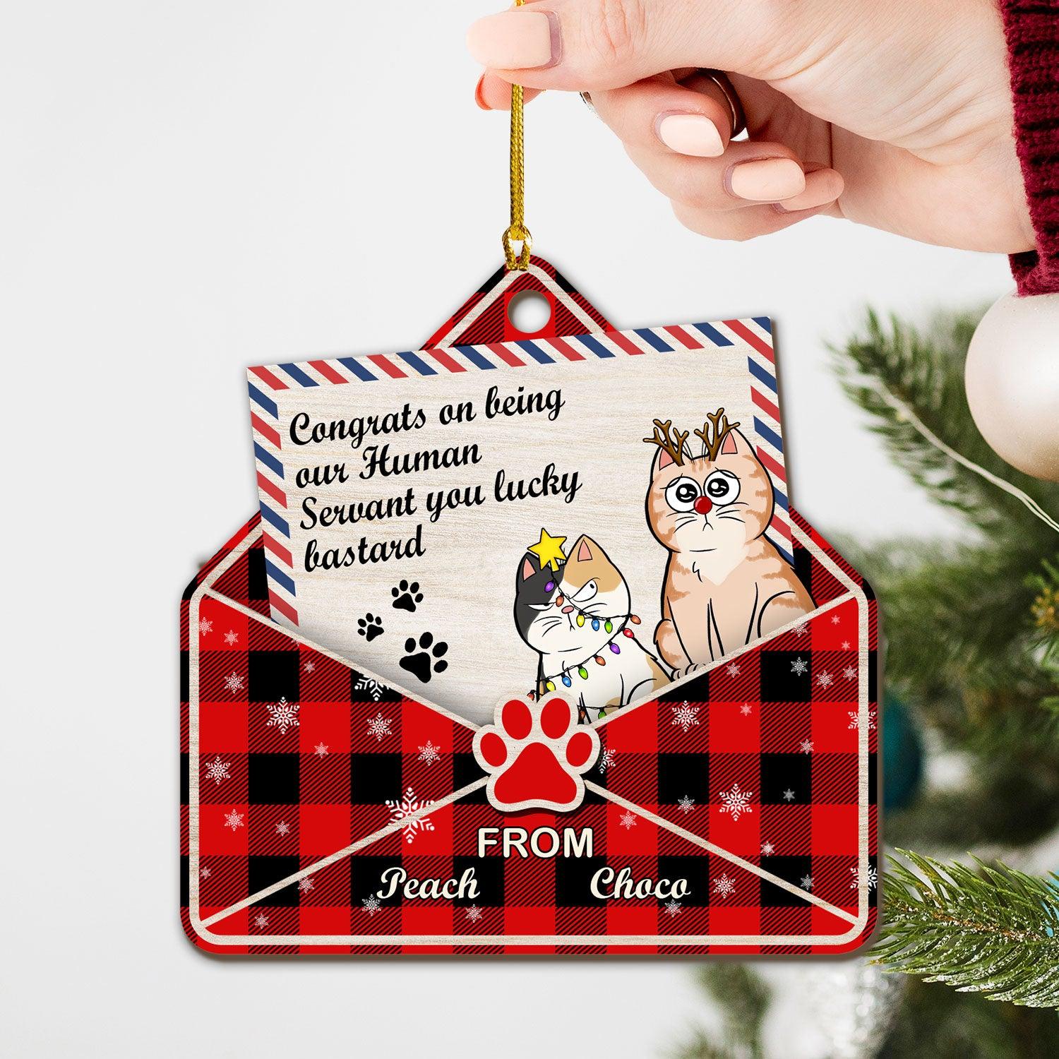 Cats Letter For You Christmas Ornament - Custom Wood Gift