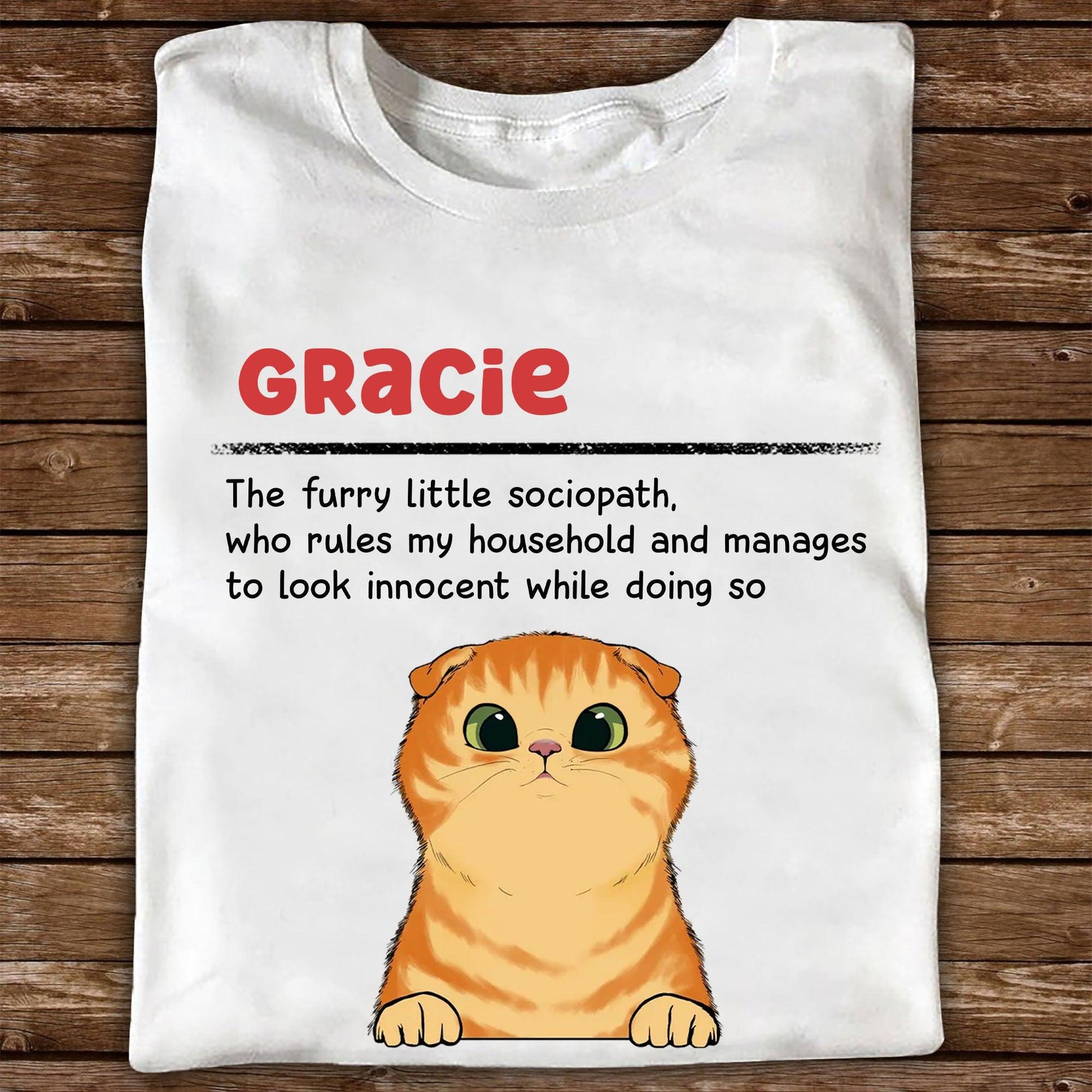 Personalized Cat Lover T-Shirt - The Furry Little Sociopath Gift