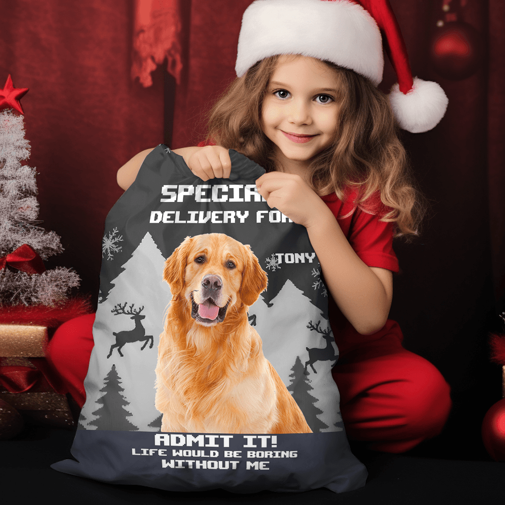 Christmas Boring Without Us Bag - Personalized Christmas Gift Bag